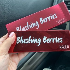 Dose of Colors palette